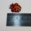 Vintage Japan Lapel Pin Badge Party Favour Show Bag Red Lady Bird Image