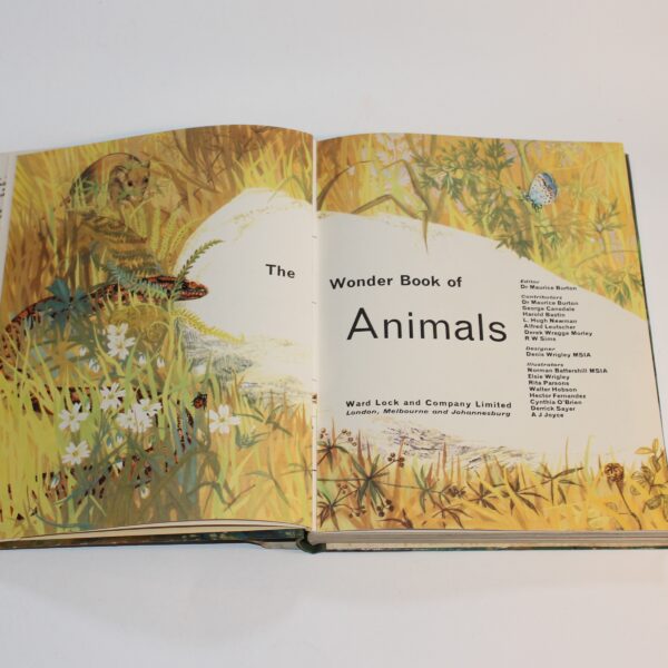 1960 The Wonder Book of Animals Ed. Burton Pub. Ward Lock