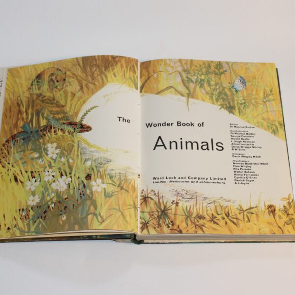 1960 The Wonder Book of Animals Ed. Burton Pub. Ward Lock