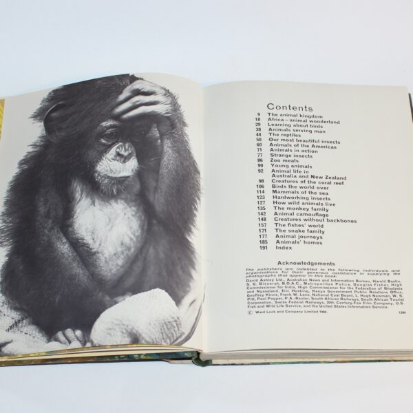 1960 The Wonder Book of Animals Ed. Burton Pub. Ward Lock - Image 4