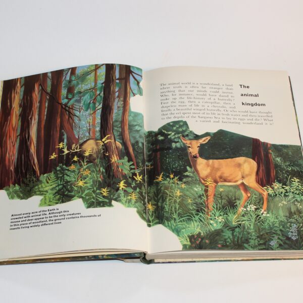 1960 The Wonder Book of Animals Ed. Burton Pub. Ward Lock