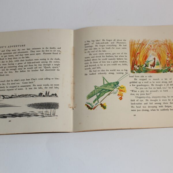 Pere Castors Wild Animals Books #3 Ploof the Wild Duck Fyleman Rojan